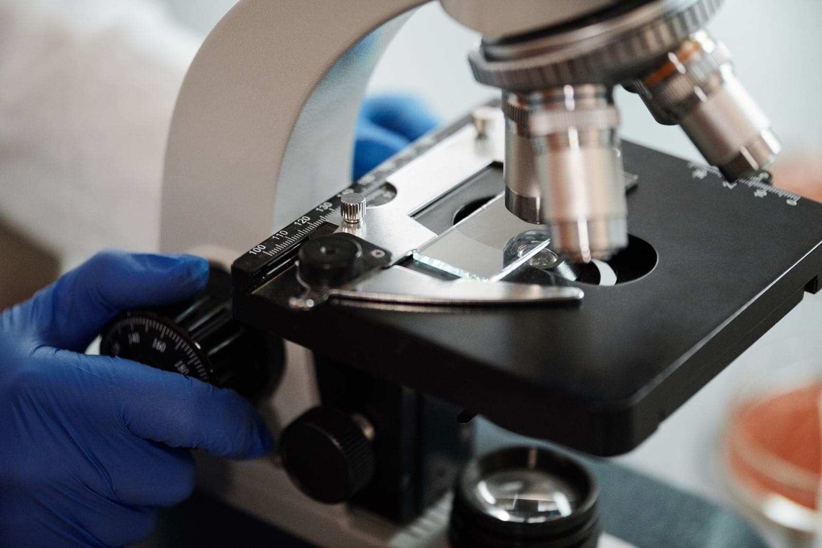 Lâmina de análise patológica ao microscópio